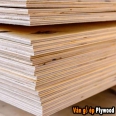 Ván gỗ dán Plywood
